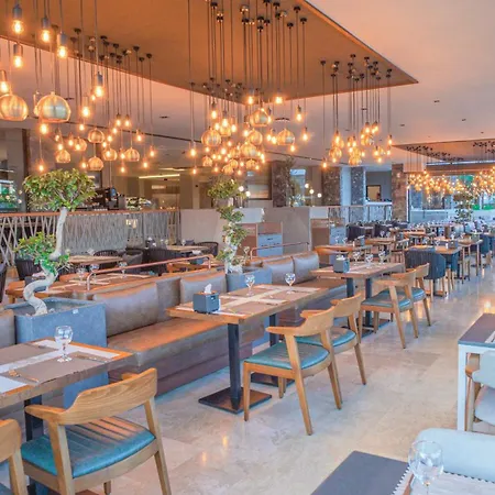 Jiva フェティエ