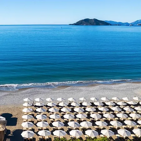 Jiva フェティエ